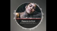 پیامین و امیر - تک آهنگ دیوونه (ریمیکس)