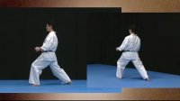 کاتا Sokugi Taikyoku Sono Ichi کیوکوشین