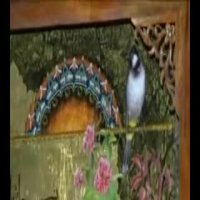 گزارشی از یک نقاش حرفه ای