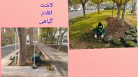 عملکرد نگهداشت فضای سبز منطقه17