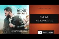 دانلود آهنگ رضا شیری به نام خوش قلب