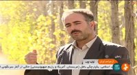 تولید چوب و فرآوری چوب و نئوپان زنجان ایران