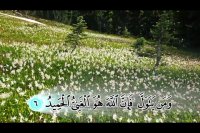 ترجمه تصویری سوره ممتحنه