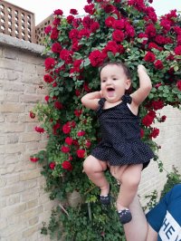 نی نی ناز پرنسا