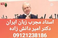 با تجربه ترین استاد زبان کنکور دکتر امیر دانش زاده