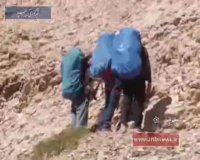 طبیعت زیبای کوه دنا