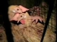 Good Riddance - Waste