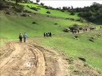 سفر به آلاشت، قائم شهر