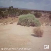 ارسنال در نقل و انتقالات امسال