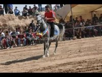 سومین همایش آزاد سوارکاری کربکند - غدیر 94