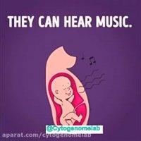 احساسات جنین در رحم