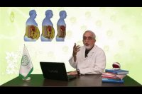 وجود شکم = اضافه وزن