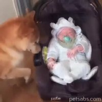 بهترین پرستار کودک