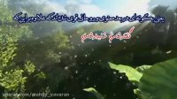 فهو علی نور من ربه-استاد محمد جواد نوروزی نصرت