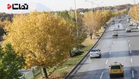 حال و هوای پاییز بلوار چمران شیراز