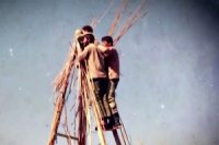 ماجرای بالای دکل انقلاب