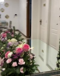 دفتر ازدواج هور در خیابان ونک