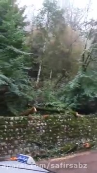 قطع درختان جاده کلاردشت توسط افراد ناشناس