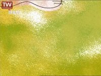 حیات وحش چرا بزهای کوهی اینجوری هستند؟