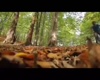 ماجراجویی در ایران