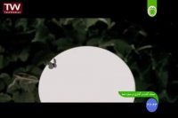 مستند - گشت و گذاری در سیاره شما