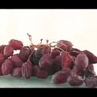 نهال انگور مویز- درخت انگور بیدانه -نهالستان پارس