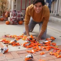 خلاقیت زچ کینگ - کدو تنبل شکلاتی