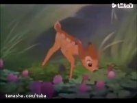 آهویی دارم خوشگله