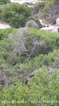 ویدئو ارسالی 1 از تور آفریقای جنوبی 16 مهر -سفرنامه