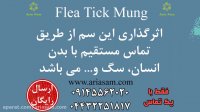 خرید سم کک خارجی و قوی فلاز تیک مانگ