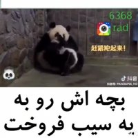 پاندا مامان بچشو فروخت به ...