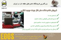 خرید تخم نطفه دار غاز ، با بازدهی فوق العاده بالا