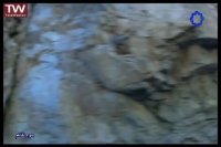 نمایشخانه-سوء تفاهم ـ قسمت 