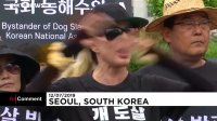 ویدئو؛ راهپیمایی مخالفان و موافقان خوردن گوشت سگ در کره…