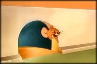 انیمیشن تام جری جدید | تام و جری | کارتون تام و جری جدید | فیلم تام و جری