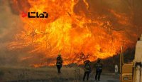آتش سوزی کالیفرنیا منطقه ای وسیع تر از نیویورک را سوزانده
