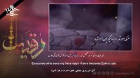 ز شرار غم میسوزم - محسن دشتی | مترجمه للعربیه | English Urdu Subtitles