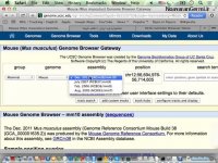 فیلم آموزش مقدمه  ای بر بیوانفورماتیک به زبان فارسی