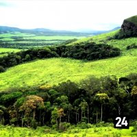 یک شکست جهانی خطرناک