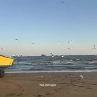 ساحل زیبای بندرعباس و اجاره سوئیت در بندرعباس