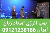 استاد مجرب زبان ایران دکتر امیر دانش زاده