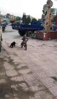 بعد میگن چرا میمون ها بدجنسن !!!