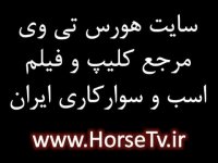 مستند اسب های وحشی | قسمت اول