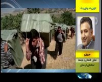 جزئیات طرح ساماندهی کولبرها