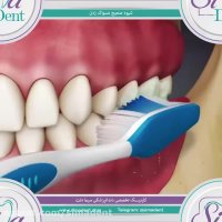 انیمیشن مسواک زدن  | دندانپزشکی سیمادنت