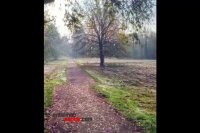 قیمت ال ای دی ایکس ویژن - انتخاب سنتر