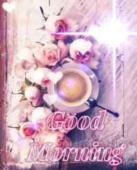 کلیپ سلام صبح بخیر شاد و عاشقانه