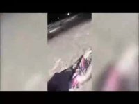 جالب - فقط برای خنده : کلیپ خنده دار- جدید