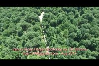 پایش جنگل های شمال ایران با پهپاد