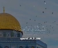 تلاوت قران برای وضعیت واتساپ استوری اینستاگرام